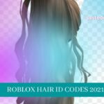 Roblox All Hair ID Codes
